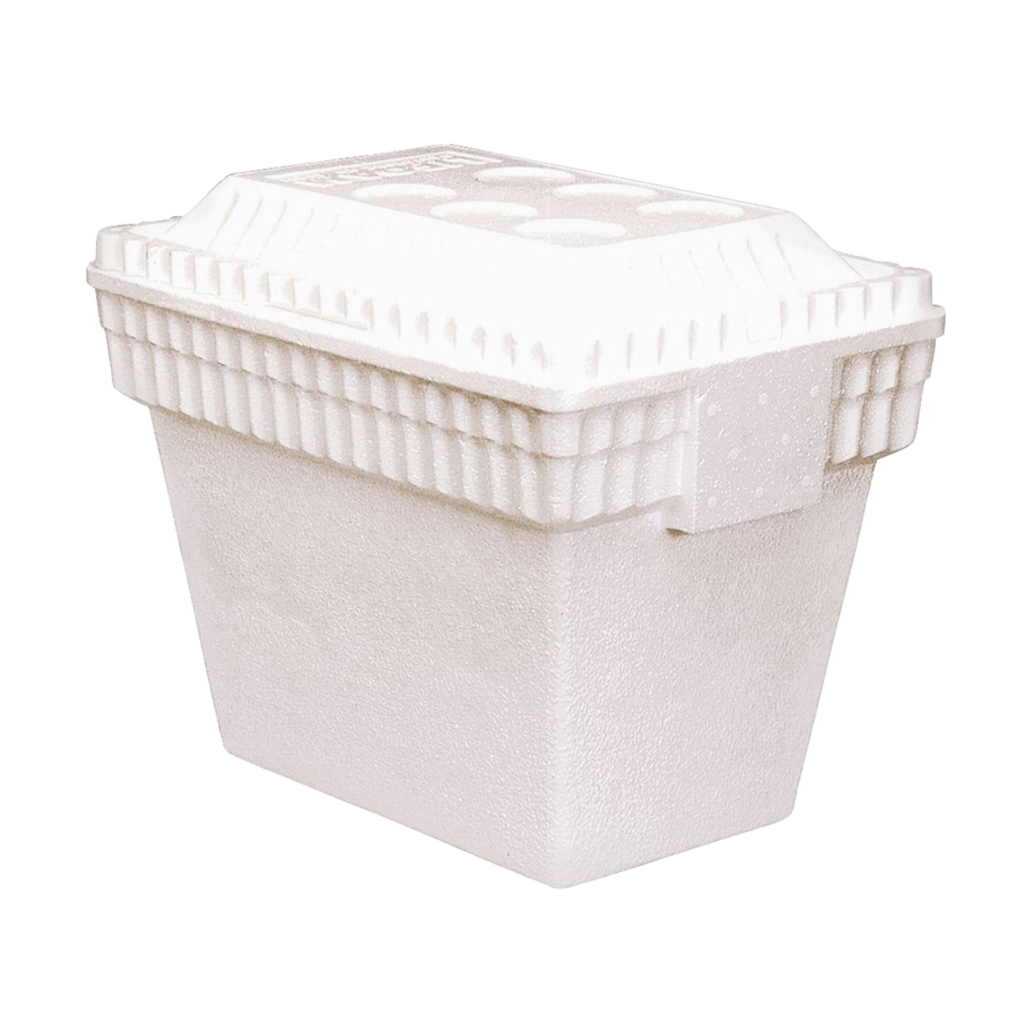 Foam Ice Chest Small 12/10Q