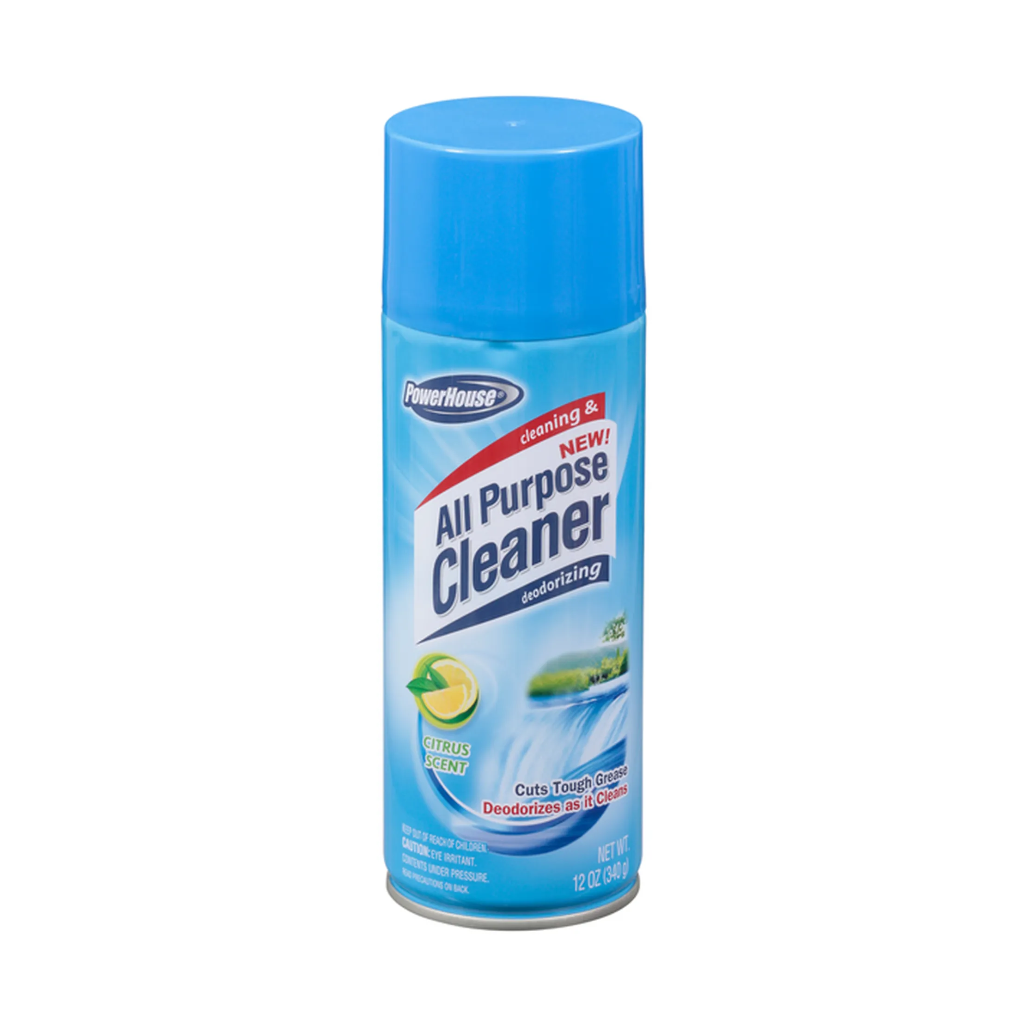 PH All Purpose Cleaner 12/12oz