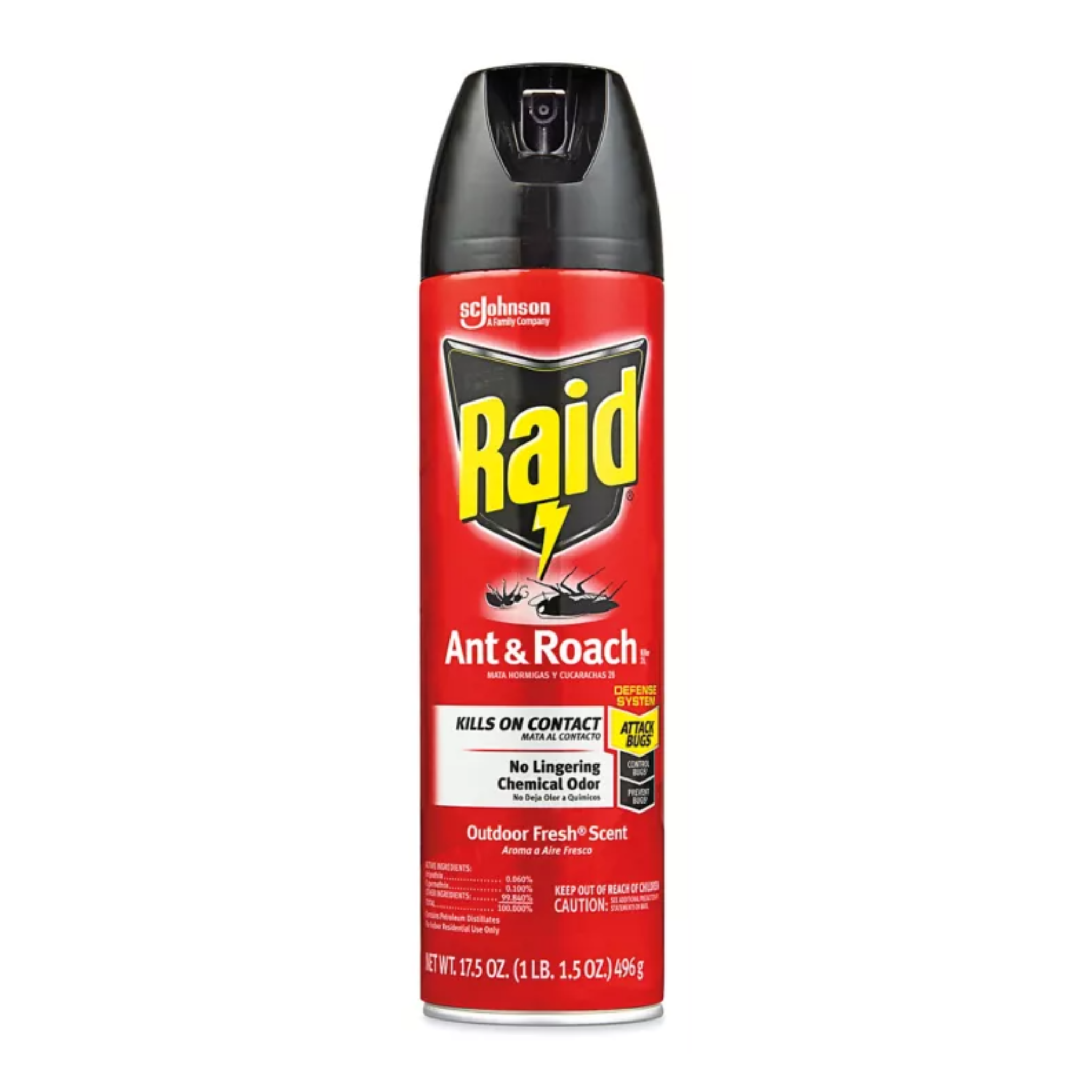 Raid Ant & Roach Killer Outdoor Fresh 12/17.5oz