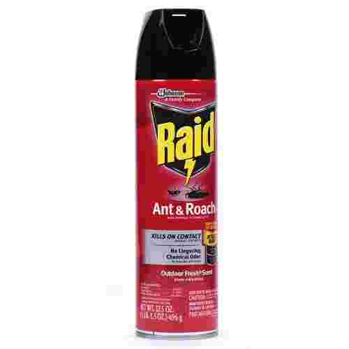 Raid Ant Killer Outdoor Fresh 12/17.5oz