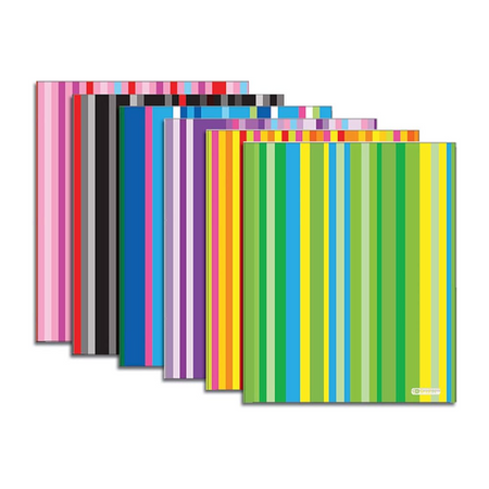 Bazic Striped 2-Pocket Folder 12/1ct