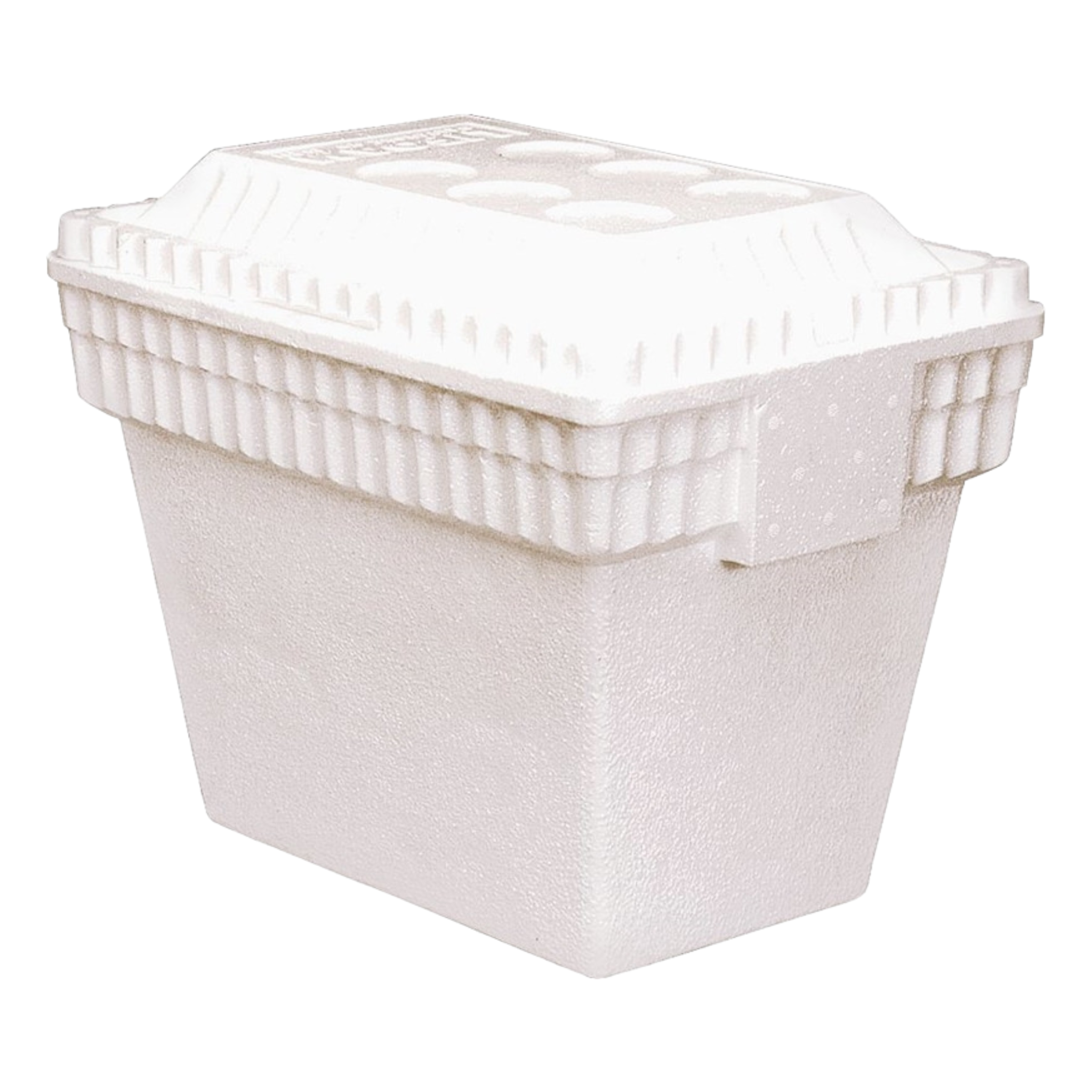Foam Ice Chest Big 12/28Q