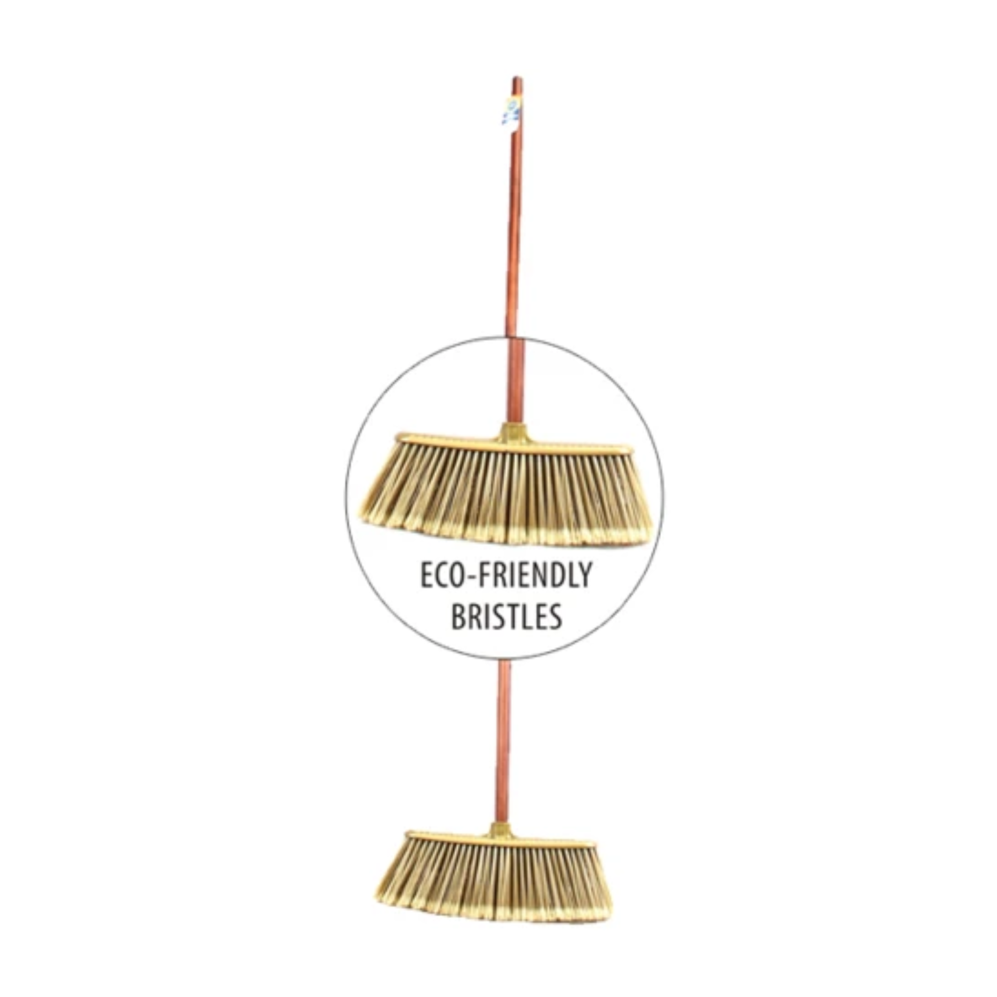 FreshStart Broom Golden Straight 12/1ct
