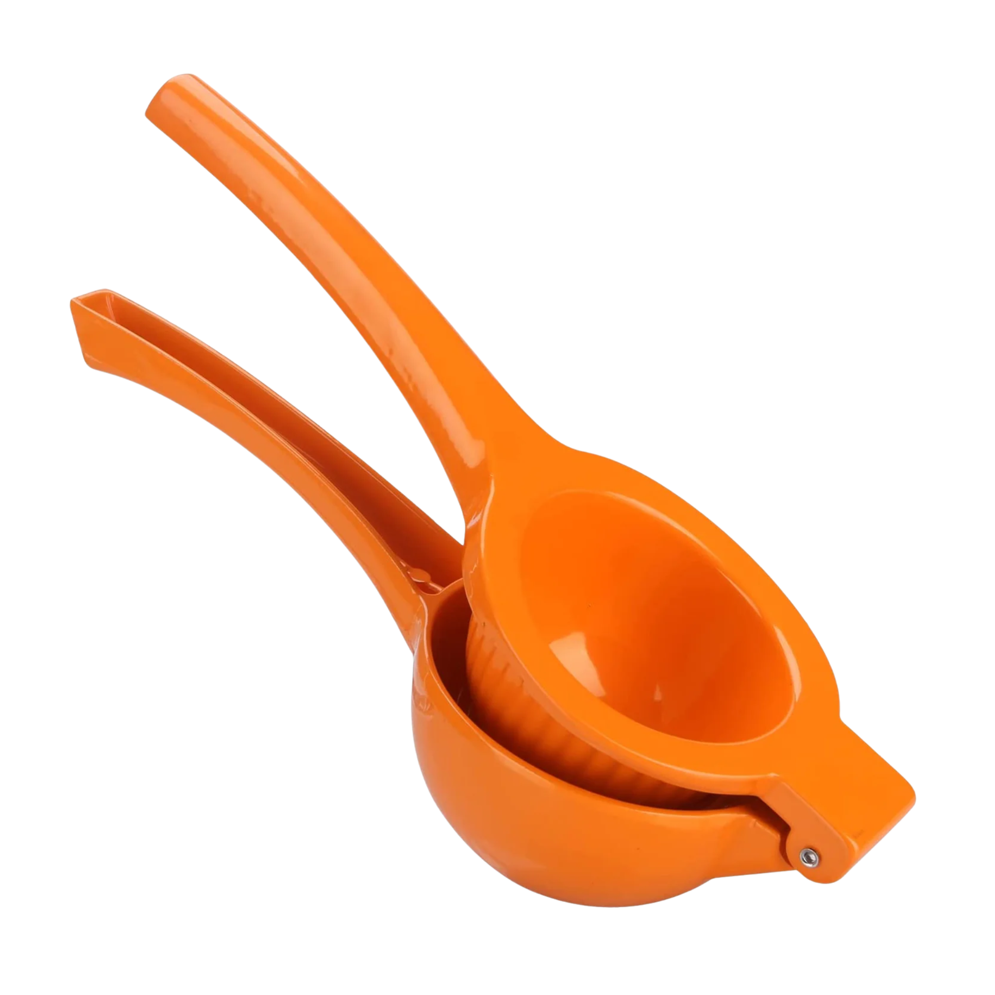 Lemon Squeezer Orange Large 12/1ct