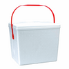 Ice Chest Small 12/10Q